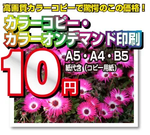 高品質カラーコピー・プレゼン資料印刷｜オンデマンド即日仕上げ