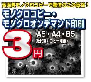 最安級のモノクロコピーサービス｜大量の会議資料・配布物を格安印刷